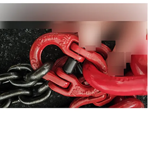 Imbracatura a catena «Chain Sling» — foto 7 dell'alert SR/00664/26