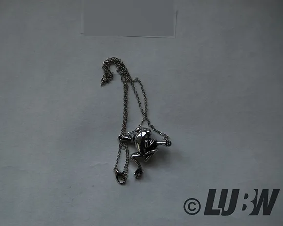 Collana con ciondolo «Chandler Vintage Frosch Tier Anhänger Halskette für Frauen Mannen Einfache Silber Süße P…» — foto 2 dell'alert INFO/00044/22