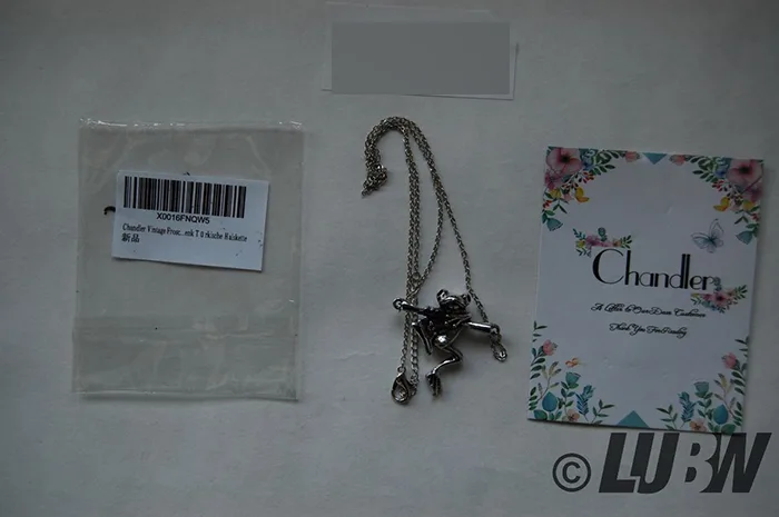 Collana con ciondolo «Chandler Vintage Frosch Tier Anhänger Halskette für Frauen Mannen Einfache Silber Süße P…» — foto 3 dell'alert INFO/00044/22