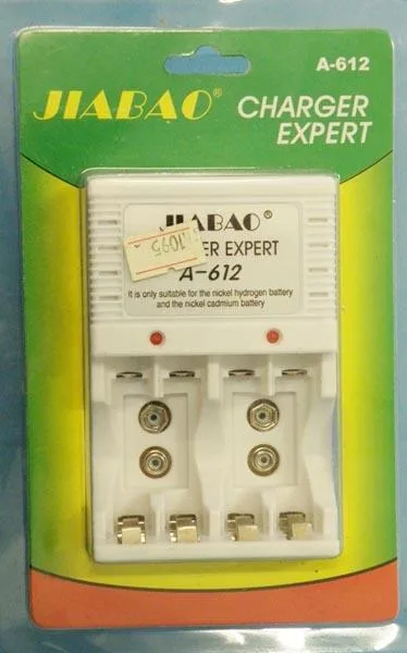 Caricabatterie «CHARGER EXPERT» — foto 1 dell'alert A12/1531/15