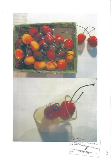 Ciliegie decorative "Czeresnia" (ciliege) & #13; — foto 1 dell'alert 1295/11