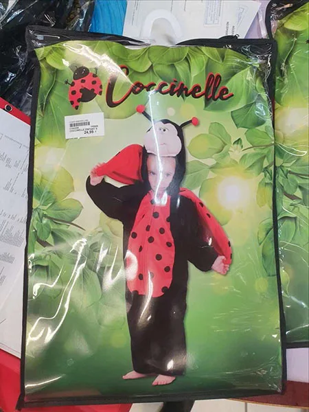 Costume da abito di fantasia «Coccinelle» (CHAKS)