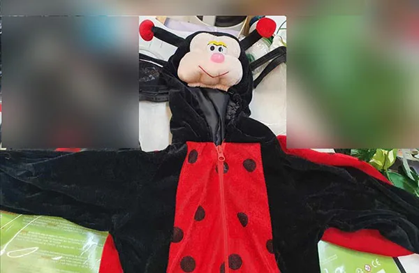Costume da abito di fantasia «Coccinelle» — foto 4 dell'alert A11/00082/23