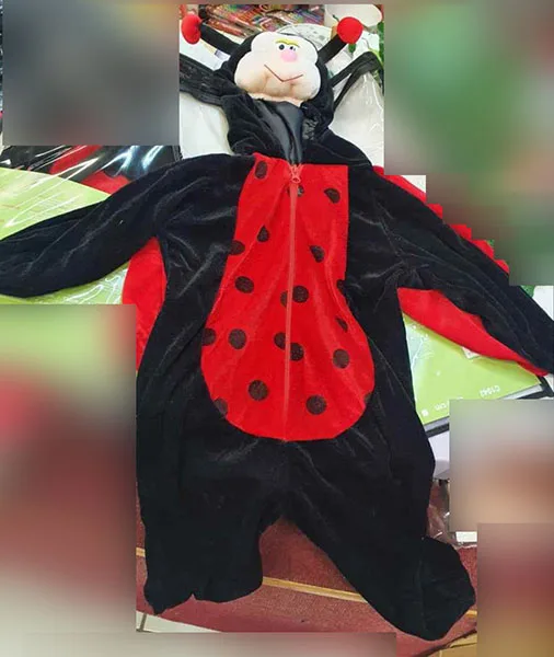 Costume da abito di fantasia «Coccinelle» — foto 6 dell'alert A11/00082/23