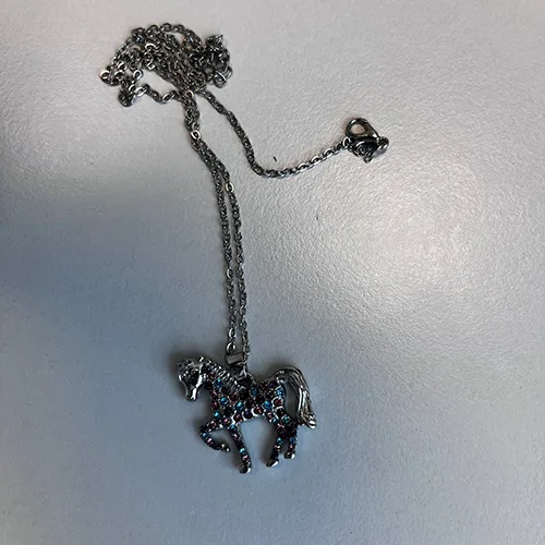 Collana — foto 1 dell'alert SR/00232/26