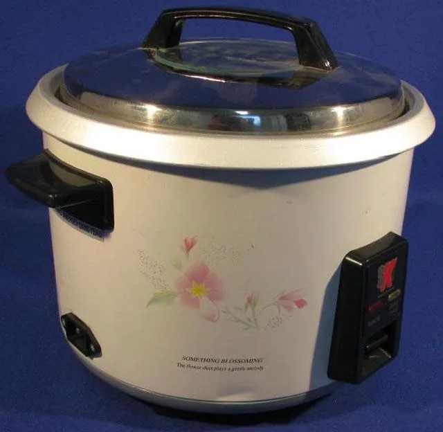 Cucina riso – Cuiseur de Riz Automatique — foto 1 dell'alert 0185/10