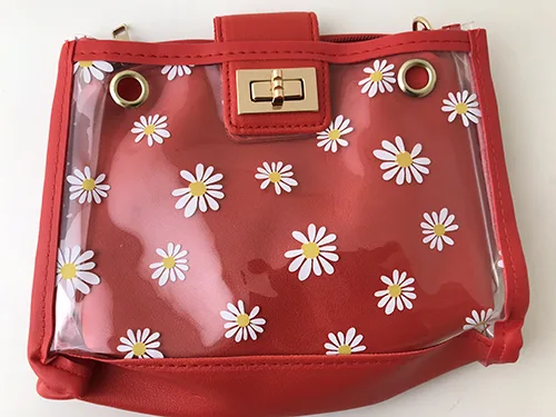 Borsa da bagno «Daisy Lock Jelly Chains Crossbody Bag» — foto 1 dell'alert A12/00888/23