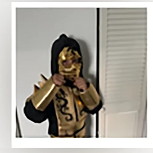 Costume da fancy-dress «Déguisement enfant - Ninja dorée- rubies ensembles de déguisements pour enfants» — foto 2 dell'alert SR/00654/26