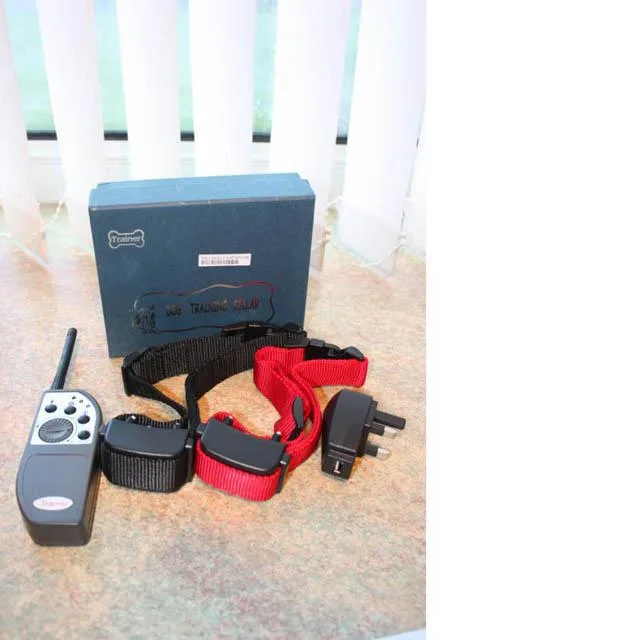 Collare da addestramento per cani «Dog Training Collar» — foto 1 dell'alert A12/0099/14
