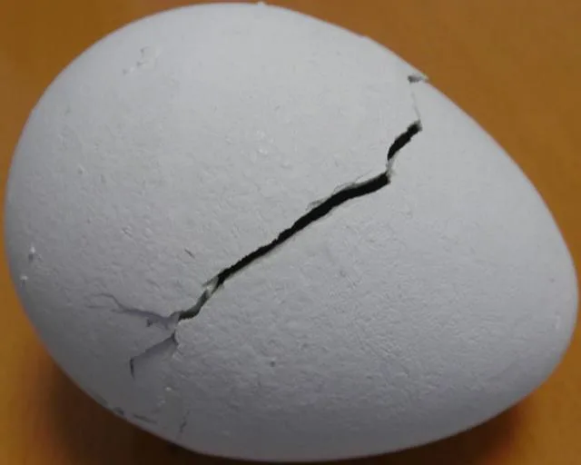 Giocattolo espandibile «Duck Egg» — foto 2 dell'alert A12/0719/13