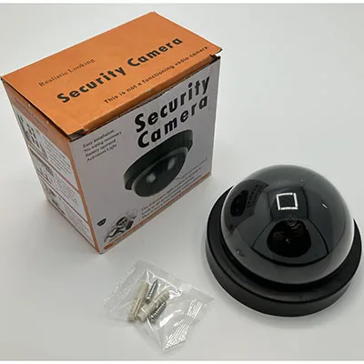 Macchina fotografica «Dummy camera» — foto 1 dell'alert SR/00099/25