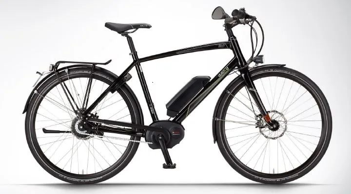 Bicicletta elettrica «DutchID High Speed PEDELEC» — foto 1 dell'alert A12/01249/21