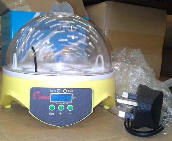 Incubatrice di uova «Egg incubator» — foto 1 dell'alert A12/1383/15