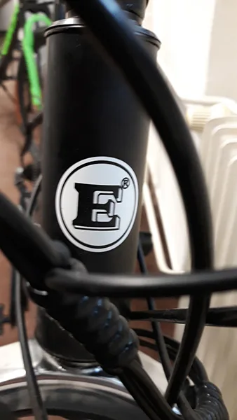 Bicicletta elettrica «Electrically power assisted cycle (EPAC) bicycle» — foto 3 dell'alert A12/00312/22