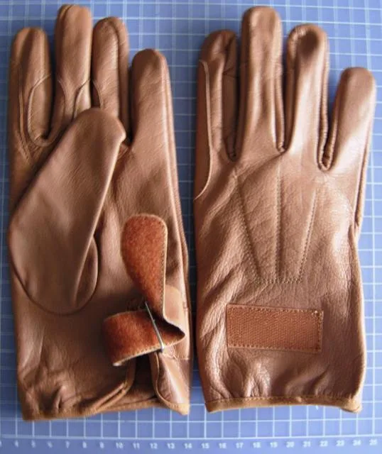 Guanti in pelle &amp; #13; &amp; #13; «Fahrhandschuhe Pferdesport (Driving gloves for equestrian sports)» — foto 1 dell'alert A12/0342/13