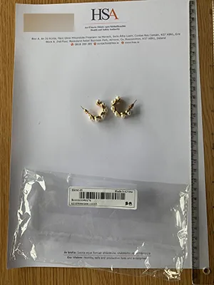 Orecchini «Fashion Earrings» — foto 1 dell'alert A12/00189/23