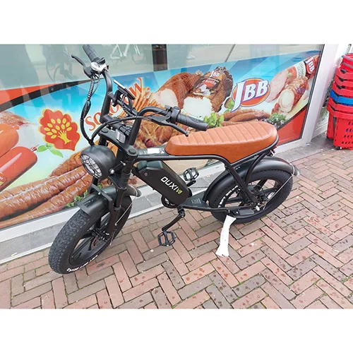 Bicicletta elettrica «Fatbike» — foto 1 dell'alert A12/02611/24