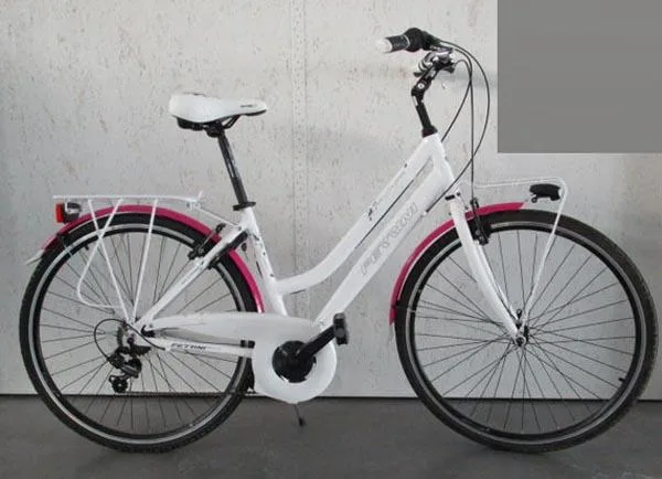 Bici da città «Ferrini Millionere» — foto 1 dell'alert A11/0137/17