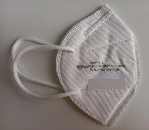 Maschera filtro antiparticolato «FFP2 Filtrierende Atemschutzmaske» — foto 3 dell'alert A12/01195/22