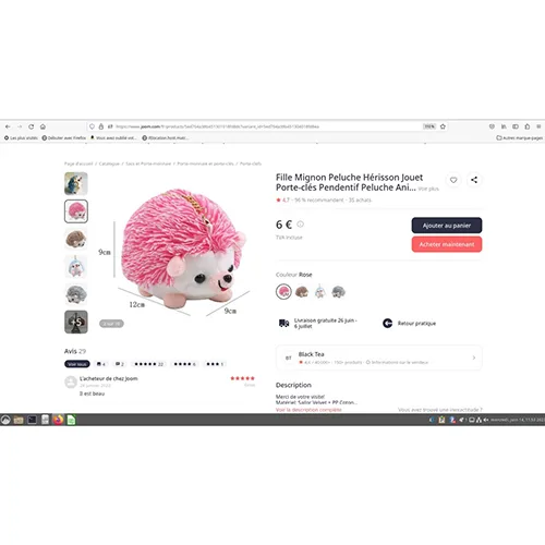 Portachiavi con peluche «Fille Mignon Peluche Hérisson Jouet Porte-clés Pendentif Peluche Animal Fourrure Voiture…» — foto 3 dell'alert A12/01034/24