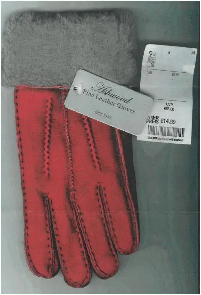 Guanti in pelle «Fine Leather Gloves» — foto 1 dell'alert A12/00522/21