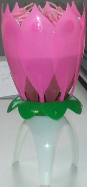 Fiore di plastica con candele — foto 1 dell'alert 1005/11