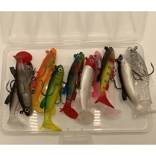 Esche da pesca «Fish bait» — foto 2 dell'alert SR/02466/25