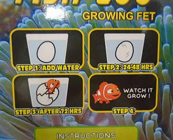 Giocattolo espandibile «Fish Egg Growing Pet» — foto 4 dell'alert A12/00428/21