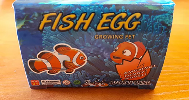 Giocattolo espandibile «Fish Egg Growing Pet» — foto 4 dell'alert A12/01383/22