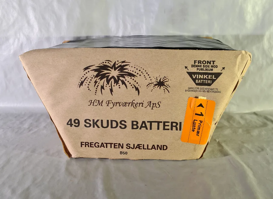 Batteria F2 «Fregatten Sjælland» — foto 2 dell'alert A12/01588/21