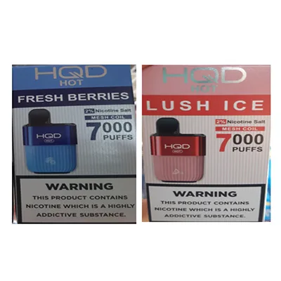 Sigaretta elettronica monouso «Fresh Berries, Lush Ice» — foto 1 dell'alert A12/03184/24