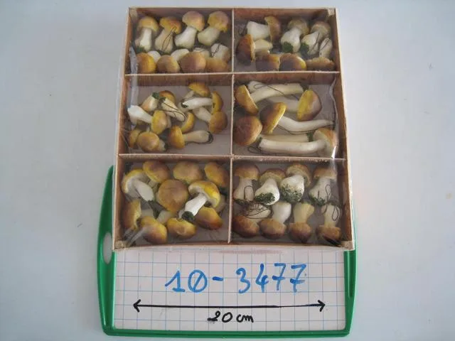 Funghi decorativi (Unknown)