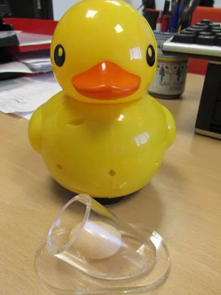 Anatra giocattolo «Funny Duck Lay Eggs» — foto 3 dell'alert A12/1988/14