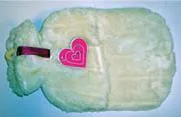 Fur Hot Water Bottle “New Look”