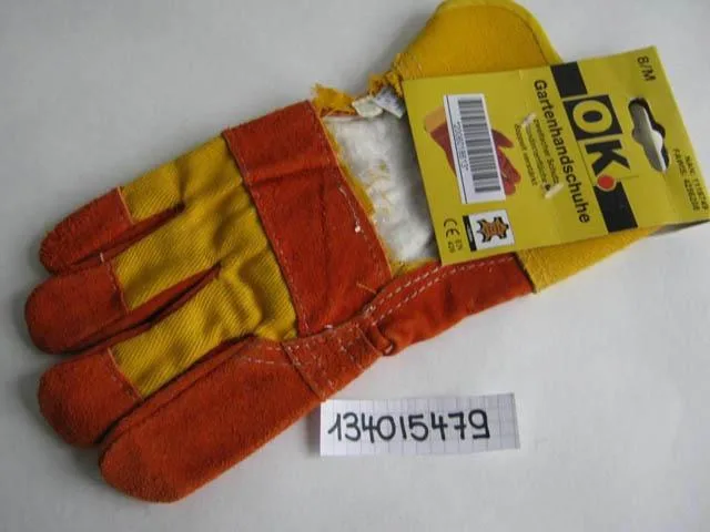 Guanti da giardinaggio «Gartenhandschuhe ('Gardening glove')» (OK)