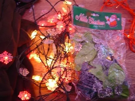 Ghirlande luminose — foto 4 dell'alert 0069/05