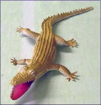 Giocattoli