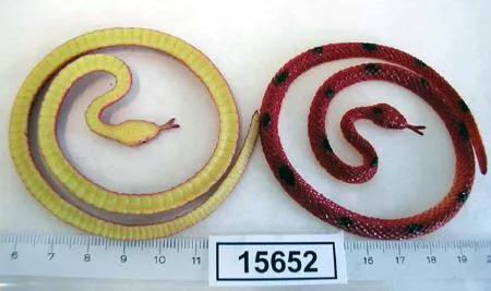 Giocattoli
