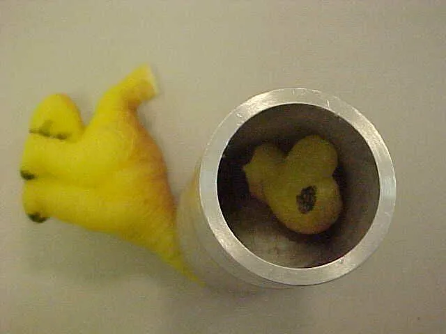 Giocattoli in espansione – Magic Growing Pet Egg. (Hatch'em.)