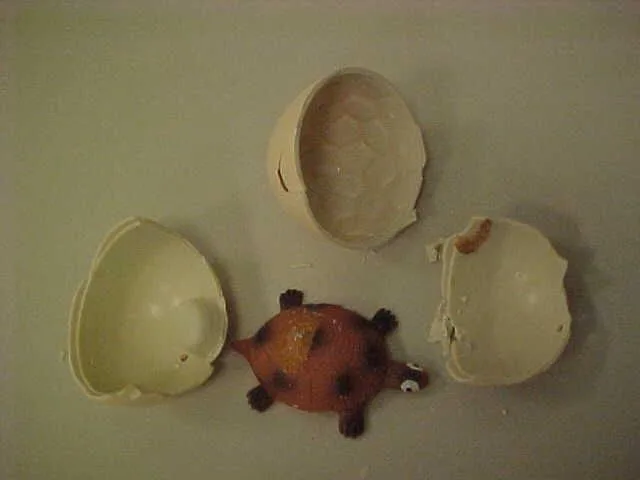 Giocattoli in espansione – Tortoise uova che crescono animali domestici (Unknown)