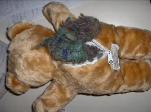 Giocattoli peluche – Orsacchiotto con zip (RMC LIMITED)