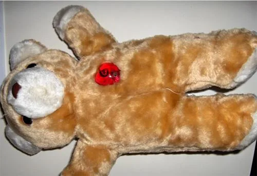 Giocattoli peluche – Orsacchiotto con zip — foto 2 dell'alert 0311/07
