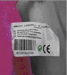 Giocattoli peluche – Rosa Signora, peluche cane (SLAMMER)