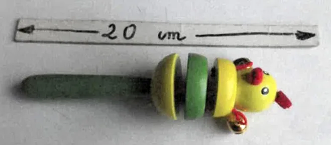 Giocattolo del bambino Teether