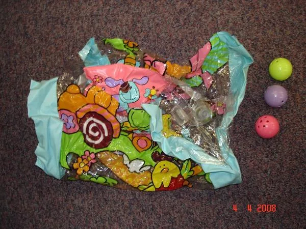 Giocattolo gonfiabile in plastica – "Crawl-a-Long Roller" — foto 2 dell'alert 0606/08
