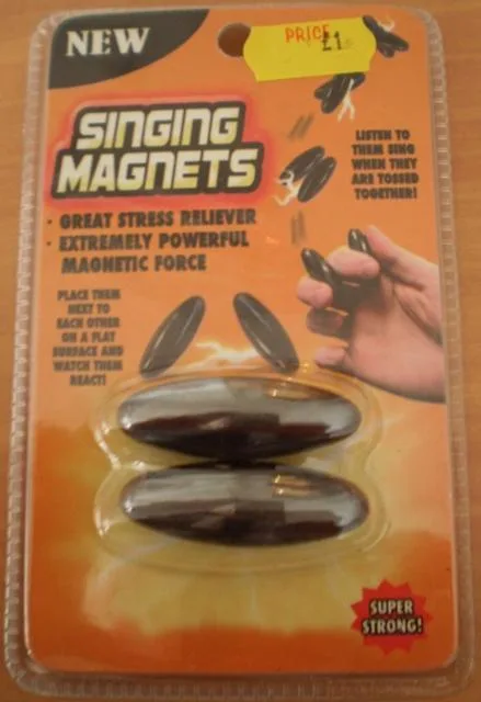 Giocattolo magnetico "Magneti di Canto" (Unknown)
