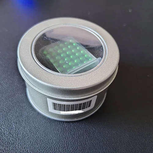 Giocattolo magnetico
