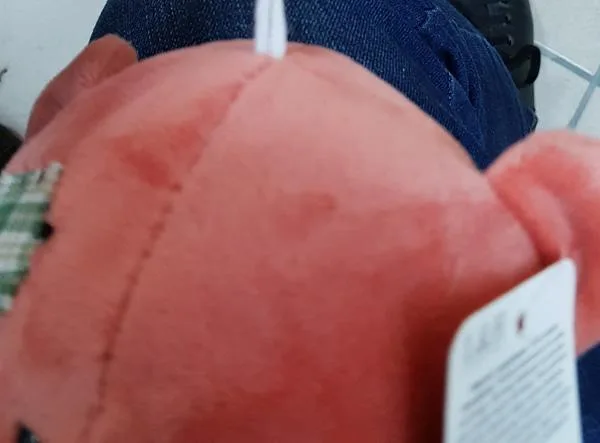 Giocattolo morbido — foto 2 dell'alert INFO/0111/19