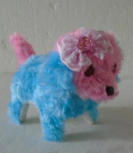 Giocattolo morbido (Unknown)