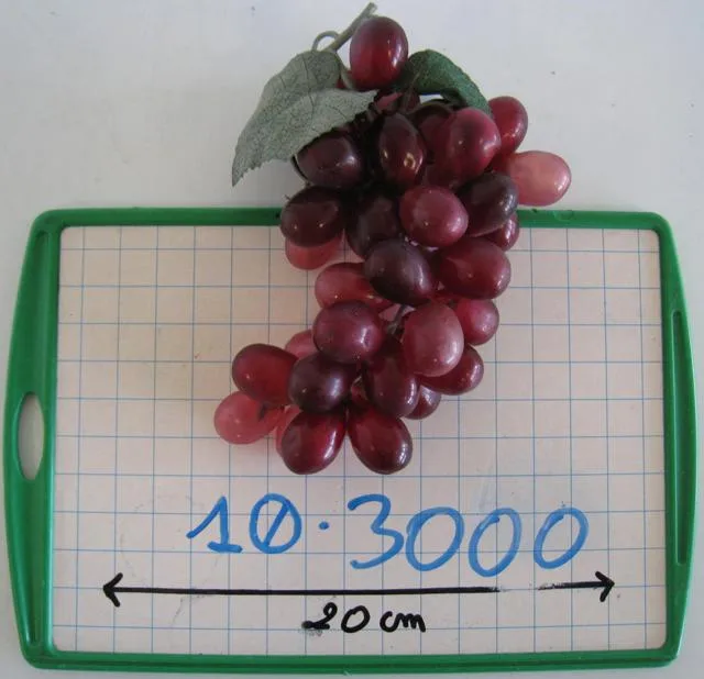 Grappolo di uva (Clayre &amp; Eef)